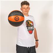 A licensed Basketball Coach with National League experience